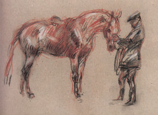 disegno di Nuno